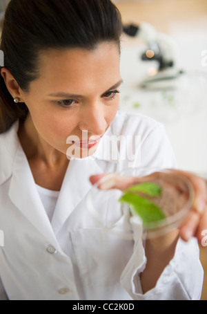 Stati Uniti d'America, New Jersey, Jersey City, donna scienziato esaminando il campione Foto Stock