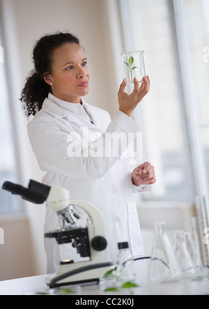 Stati Uniti d'America, New Jersey, Jersey City, donna scienziato esaminando il campione Foto Stock