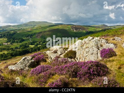 Conwy Mountain,il Galles del Nord Foto Stock