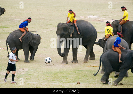 Il calcio di elefante in Surin's Srinarong Stadium durante l'Elefante annuale festival Roundup. Surin, Surin, Thailandia Foto Stock