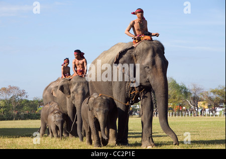Suai mahouts (pastori) e i loro elefanti durante l'elefante di Surin Roundup festival. Surin, Surin, Thailandia Foto Stock