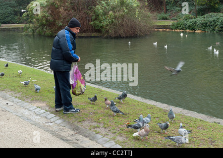 Guy alimentare piccioni in giardini botanici (Kruidtuin - Le Botanique) a Bruxelles. Foto Stock