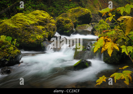 Stati Uniti d'America, Oregon, Eagle Creek Foto Stock