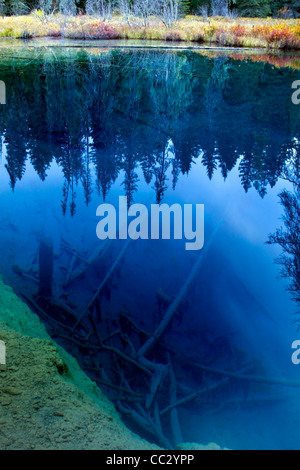 Vista sulle acque del piccolo lago cratere in Mt Hood National Forest Foto Stock