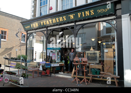 "Piume di pelliccia 'N' Fins" negozio di antiquariato su Cliffe High Street, Lewes, East Sussex, Regno Unito. Foto Stock