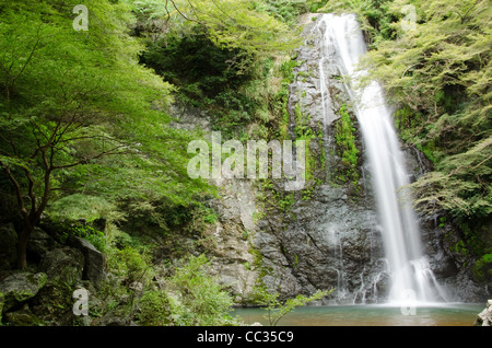 Acqua caduta a mino quasi parco nazionale in Giappone con verde acero Foto Stock