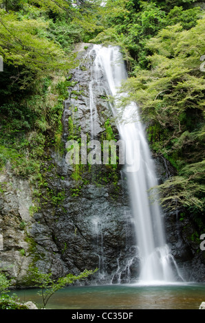 Acqua caduta a mino quasi parco nazionale in Giappone con verde acero Foto Stock