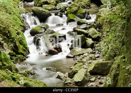 Dettaglio di un piccolo fiume selvaggio nella quasi mino national park, Giappone Foto Stock