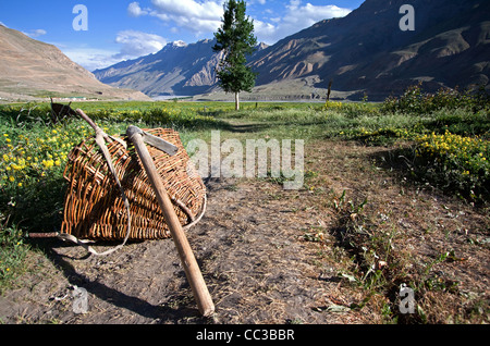 Himalaya tradizionali attrezzi agricoli con paesaggio meraviglioso sfondo di Spiti Valley in India che si trasforma in una vera e propria oasi durante i mesi estivi. Foto Stock