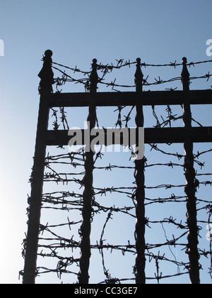 Ferro battuto i picchi di recinto coperto con il filo spinato e cielo blu Foto Stock