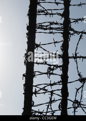 Ferro battuto i picchi di recinto coperto con il filo spinato e cielo blu Foto Stock