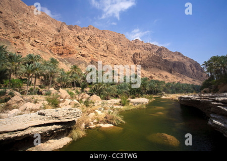 Oman, Wadi Fusc Oasis Foto Stock