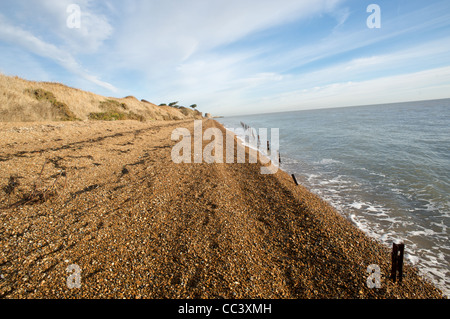 Il tempo di guerra anti-invasione scherma, Bawdsey, Suffolk, Inghilterra. Foto Stock