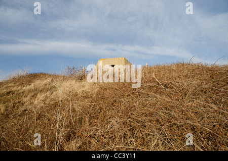 WW2 scatola di pillole, Suffolk, Inghilterra Foto Stock