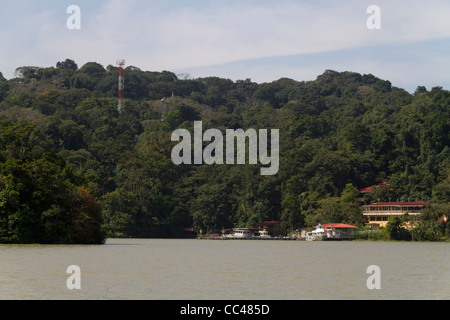 Barro Colorado Island, il Lago di Gatun, Canale di Panama, Repubblica di Panama, America Centrale Foto Stock