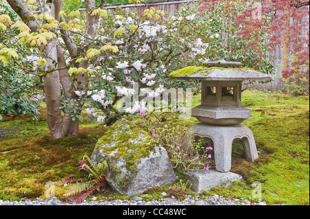 Stati Uniti d'America, WA, Seattle, arboreto, giardino giapponese Foto Stock