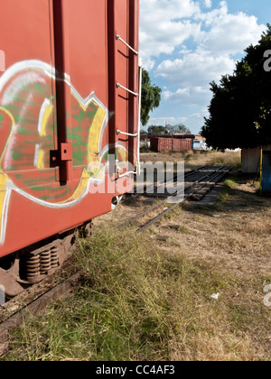 Coloratissimo graffito su un vecchio carro merci visualizzate su unused weed soffocato raccordo ferroviario a Oaxaca Railroad Museum Messico Foto Stock