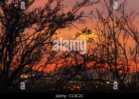 Fiery Deserto Sonoran tramonto cielo illuminato Foto Stock