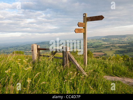 La mattina presto vista dal modo di Cleveland, Sutton Bank, Yorkshire Regno Unito ,oltre una patch il lavoro dei campi circostanti e il paesaggio Foto Stock