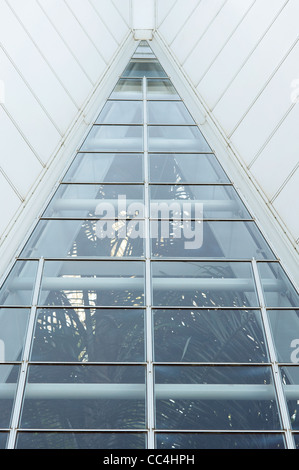 Close-up di windows della casa alpina nel Parco di Adelaide, Adelaide, Australia Foto Stock