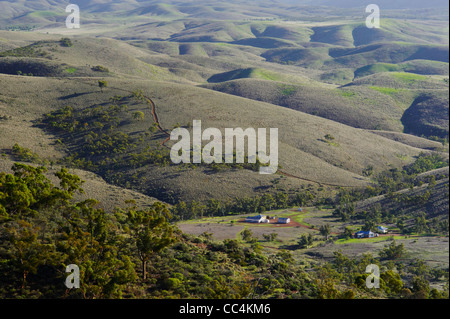 Casale di Flinders Ranges,l'Dutchmans Stern Conservation Park, Sud Australia Foto Stock