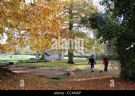 Due femmine a piedi un cane in Cotswolds Foto Stock