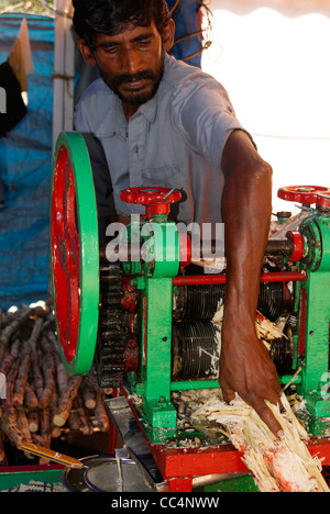 La canna da zucchero succo di processo di estrazione dalla macinazione delle macchine a motore ( succo di canna da zucchero macchina estrattore ) Foto Stock