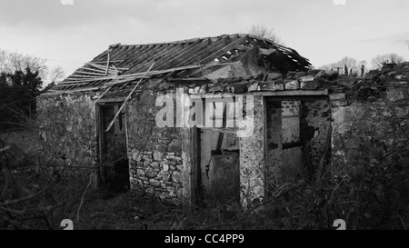 Un abbandonato irish cottage con un crollo del tetto in un campo incolto con radiche sorpasso la casa dell ex struttura. Foto Stock