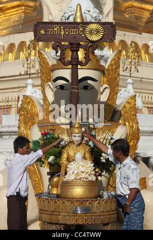 Shwedagon pagoda in Yangon, Birmania Foto Stock