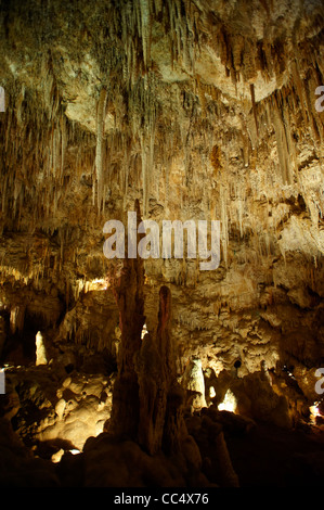 Stalattiti e stalagmiti in grotta Ngilgi, Yallingup, Australia occidentale, Australia Foto Stock