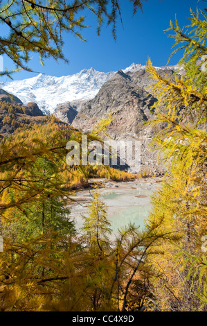 Lago glaciale nascosto nel bosco sopra Saas Fee, Svizzera Foto Stock