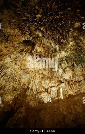 Stalattiti e stalagmiti in grotta Ngilgi, Yallingup, Australia occidentale, Australia Foto Stock