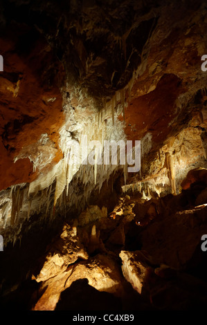 Stalattiti e stalagmiti in grotta Ngilgi, Yallingup, Australia occidentale, Australia Foto Stock