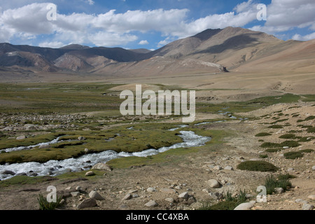 Chang-pa accampamenti nomadi sul robusto ad alta altitudine sopra pianura Korzok, Lago Tsomoriri, (Ladakh) Jammu e Kashmir India Foto Stock