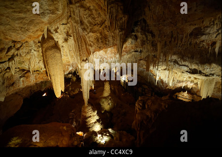 Stalattiti e stalagmiti in grotta Ngilgi, Yallingup, Australia occidentale, Australia Foto Stock