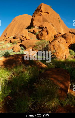 Ayers Rock; Close-up di Uluru la formazione di roccia, Uluru-Kata Tjuta National Park, il Territorio del Nord, l'Australia Foto Stock