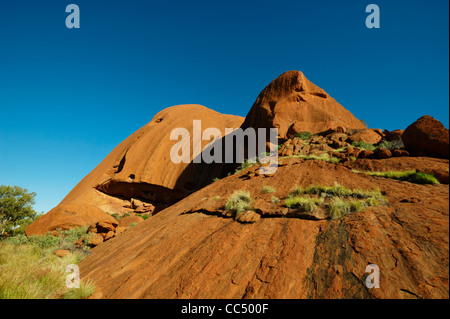 Ayers Rock; Close-up di Uluru la formazione di roccia, Uluru-Kata Tjuta National Park, il Territorio del Nord, l'Australia Foto Stock