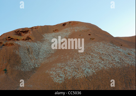 Ayers Rock, Close-up di licheni su Uluru, Uluru-Kata Tjuta National Park, il Territorio del Nord, l'Australia Foto Stock