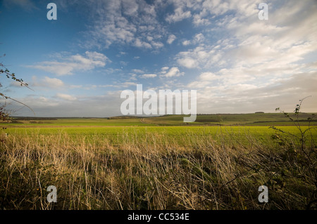 Vista sulla South Downs dal South Downs modo vicino a Amberley, West Sussex, Regno Unito Foto Stock