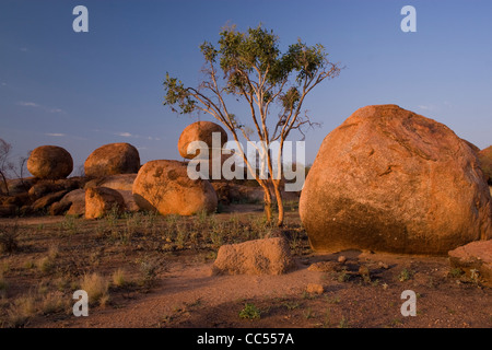 Il Devil's marmi al tramonto in Australia settentrionale. Foto Stock