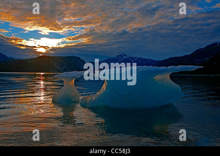 Iceberg galleggianti in ingresso Muir. Parco Nazionale di Glacier Bay. L'Alaska. Stati Uniti d'America Foto Stock