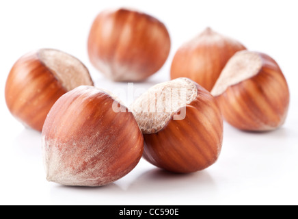 Noci nocciole isolati su sfondo bianco. Foto Stock