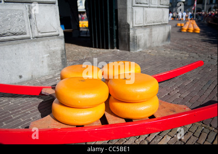 Mercato del formaggio di Alkmaar Foto Stock