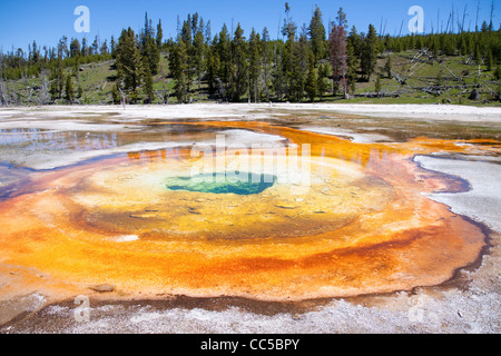 Colorata piscina profonda in una sezione di origine vulcanica di Yellowstone Foto Stock