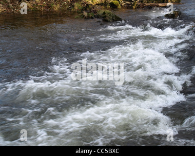 Fiume 'White Rain' Foresta Bavarese Germania / Fluss " Weisser Regen' Bayerischer Wald Deutschland Foto Stock