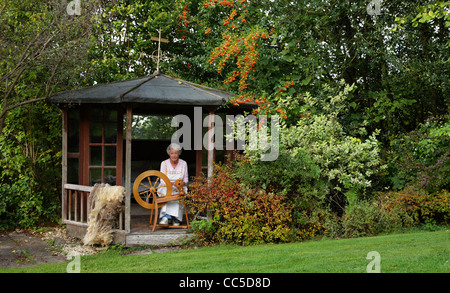 Hobbisti Ann Mills gira homegrown lana nella sua Foresta di Dean garden Foto Stock