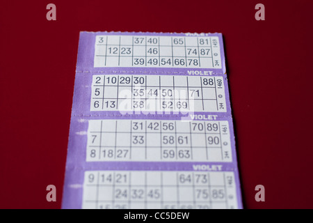 Scheda di Bingo in gioco in un parco vacanze in Cornovaglia, UK. Foto Stock