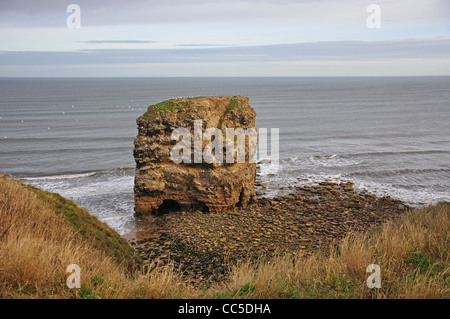 Marsden Rock, Marsden Bay, South Shields, Tyne and Wear, Inghilterra, Regno Unito Foto Stock