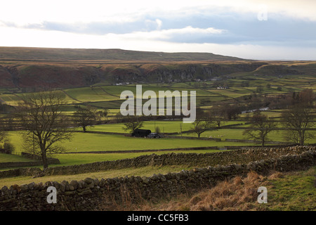 La cicatrice Holwick visto dal villaggio di Newbiggin in Teesdale superiore County Durham Regno Unito Foto Stock