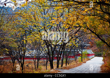 Caduta foglie, Wuling Mountain, Pechino, Cina Foto Stock
